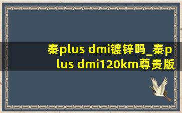 秦plus dmi镀锌吗_秦plus dmi120km尊贵版